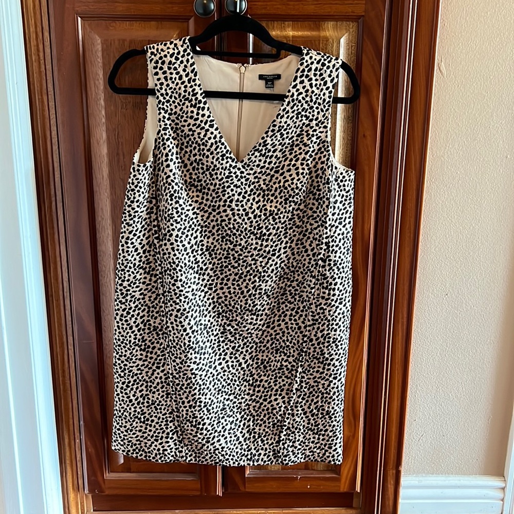 Ann Taylor Animal Print Shift Dress Size MP.